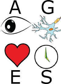 Simple graphics of an eye, a nerve cell, a heart, and a clock.