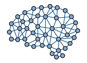 A brain-shaped cluster of interconnected nodes. Each node is a blue circle and most of the nodes are connected to others that are adjacent to it.