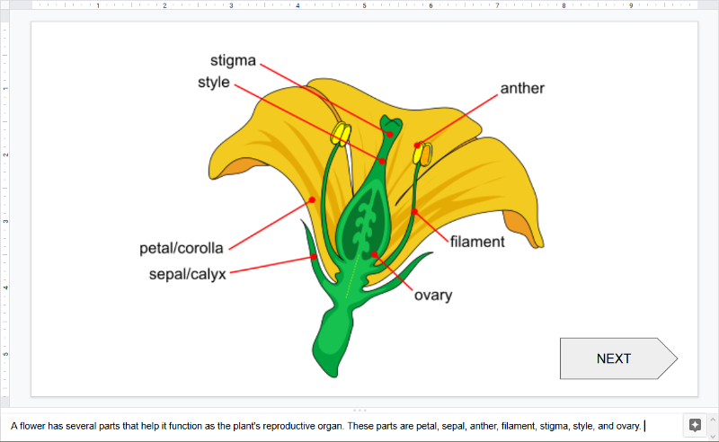 Screen capture of Google Slides with slide notes visible. 
